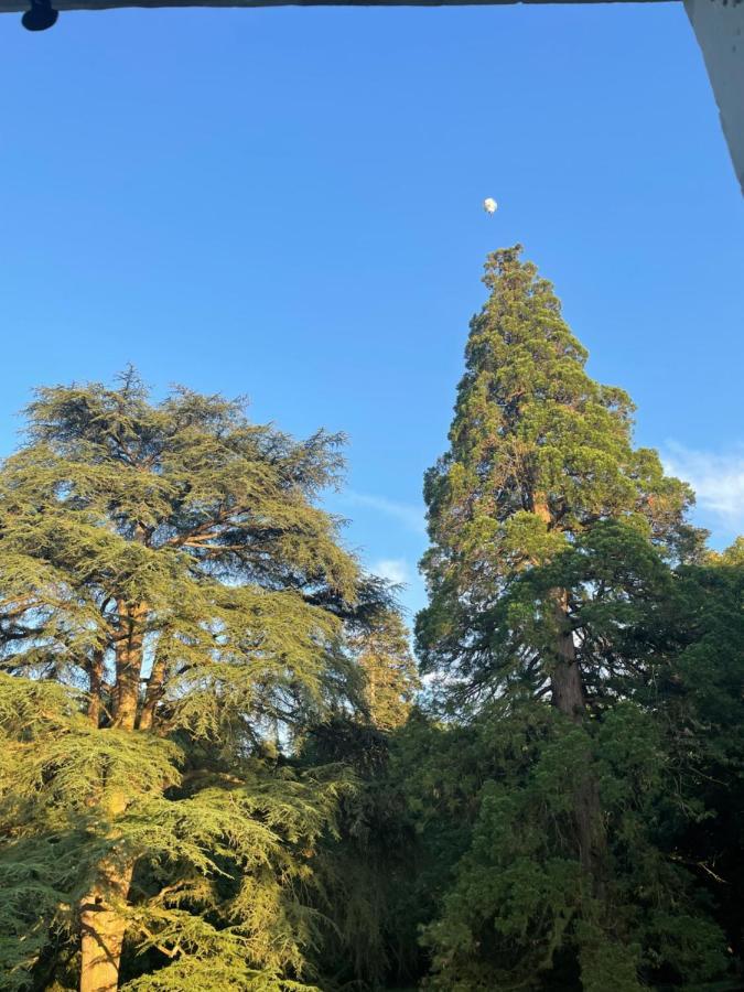 サン・レグル Entre Les Branches Bed & Breakfast エクステリア 写真
